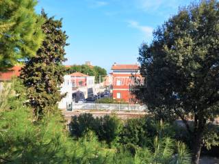 Vista