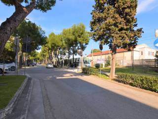 Zona