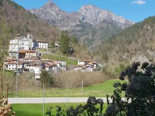 Vista