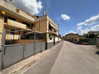 Zona