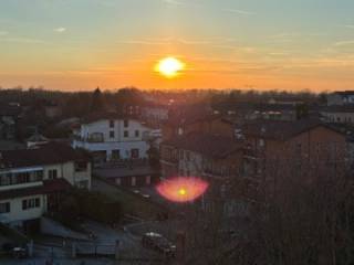 Vista