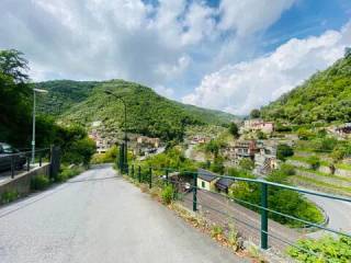 Vista