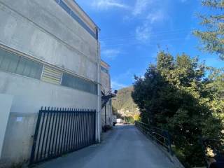 Zona