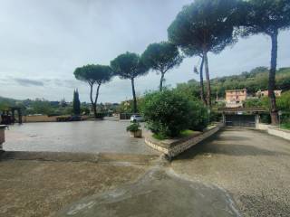 Zona
