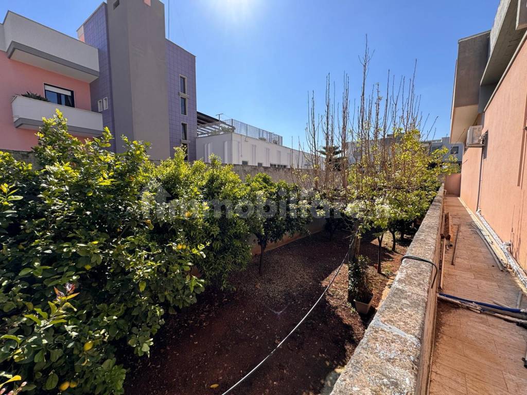 Giardino