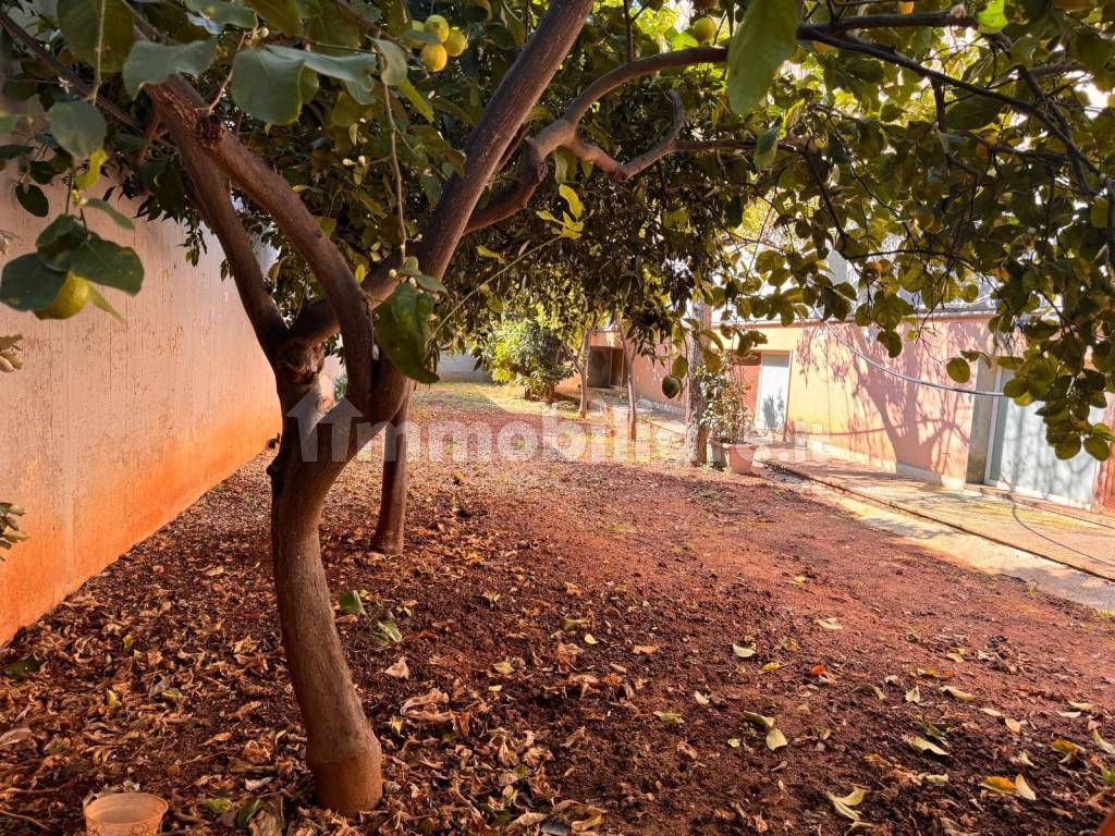 Giardino