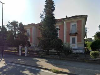 Zona