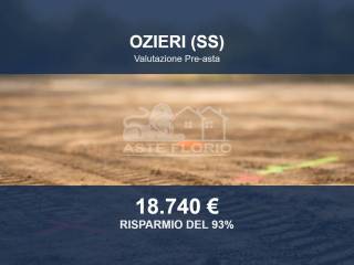 Zona