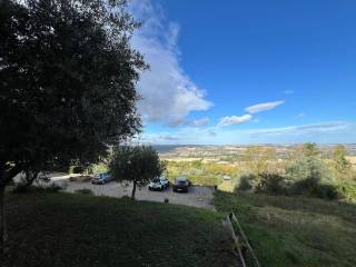 Vista