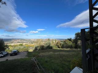 Vista
