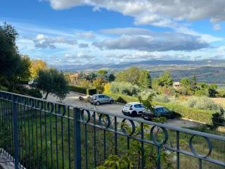 Vista