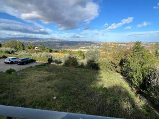 Vista