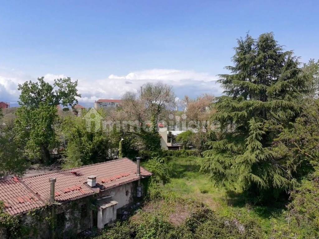 Vista