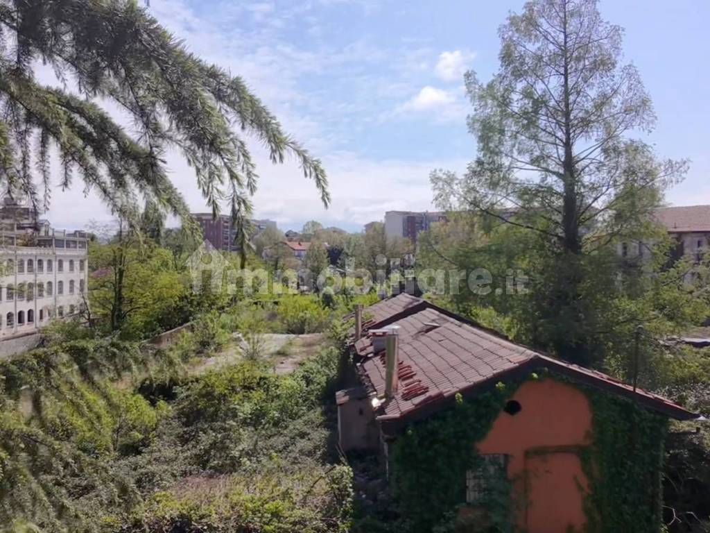 Vista