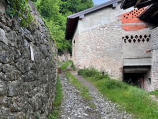 Zona