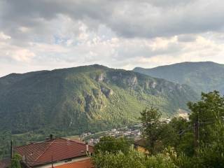 Vista
