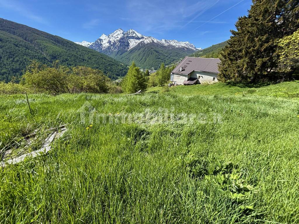 Terreno
