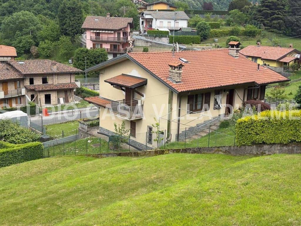 Vista