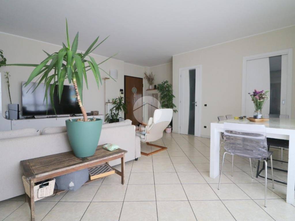 Salone