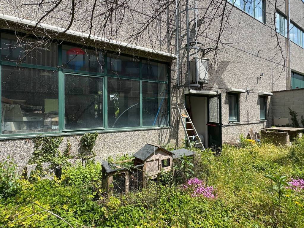 Giardino