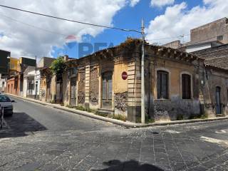 Zona