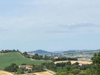Vista