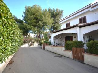 Zona