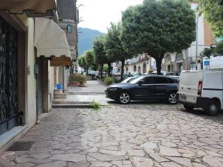 Zona