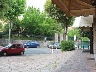 Zona