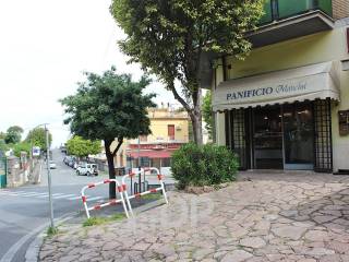 Zona