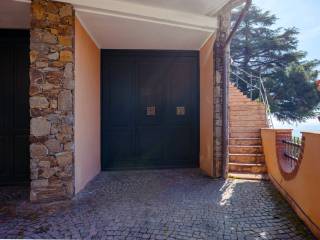 Ingresso