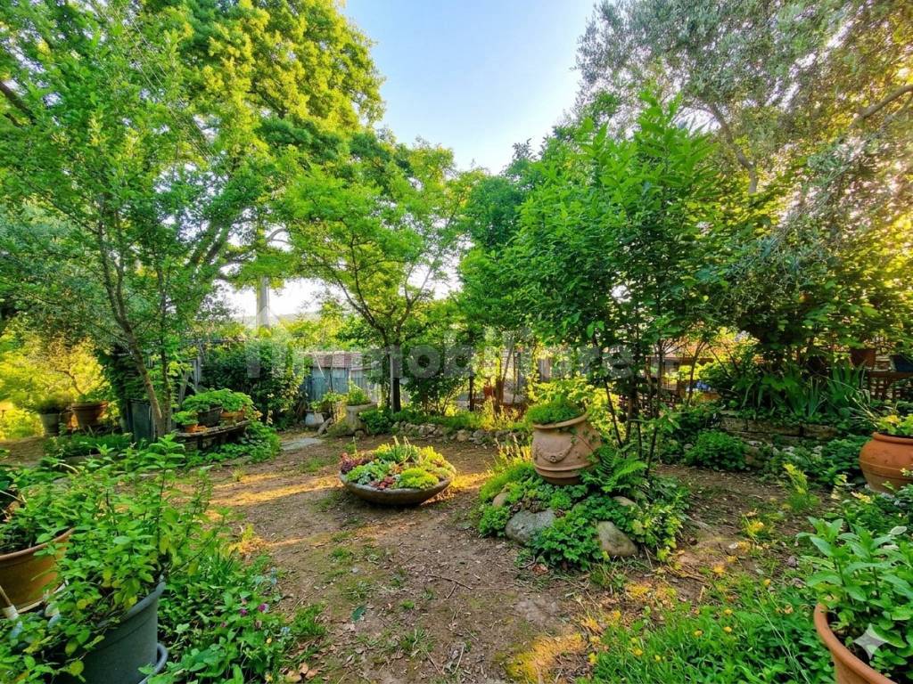 Giardino
