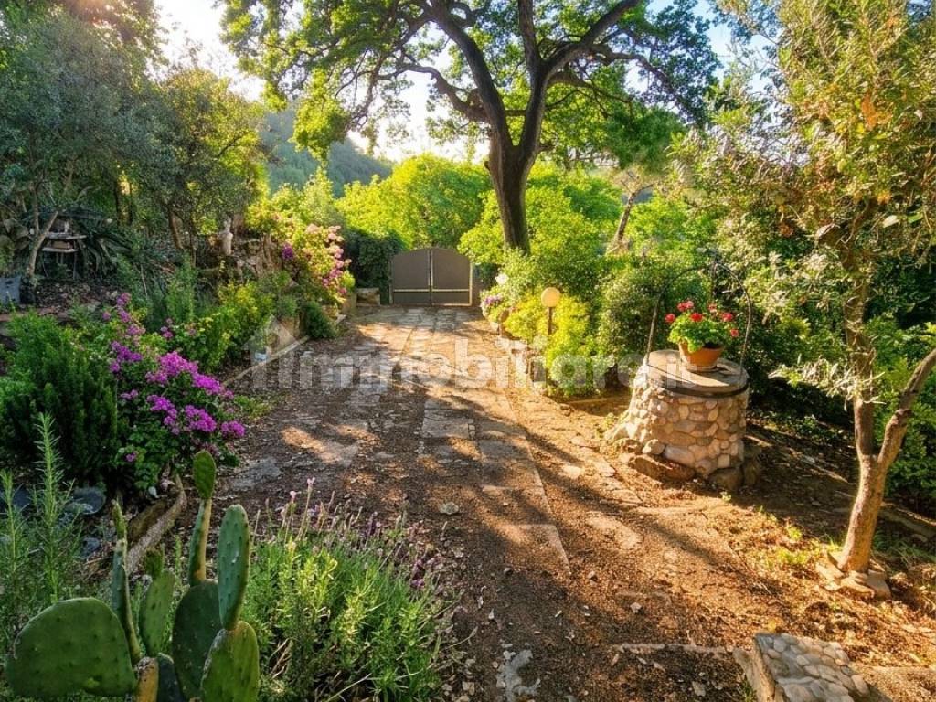 Giardino