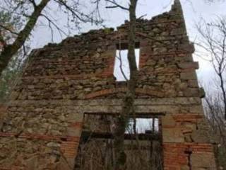Zona
