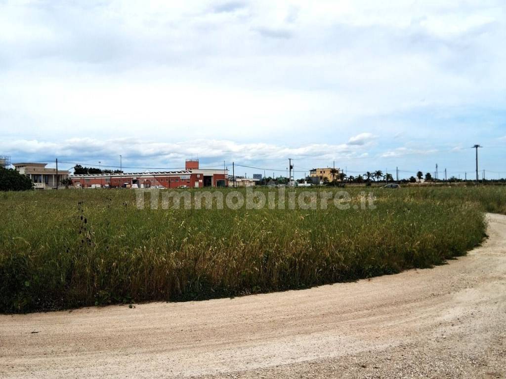 Terreno