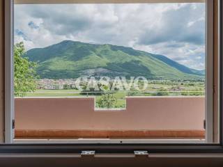 Vista