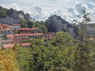 Vista