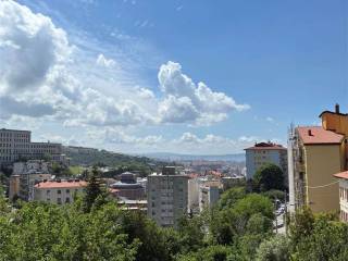 Vista