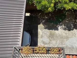 Ingresso
