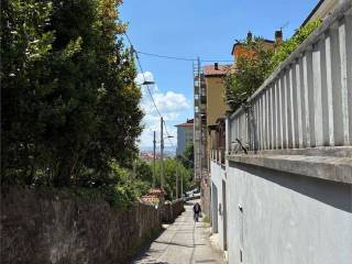 Zona