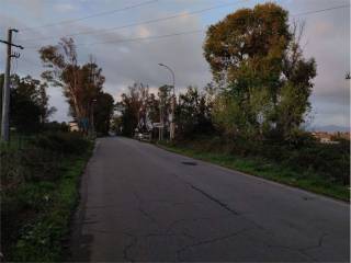 Zona