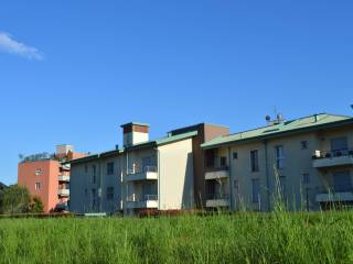 Vista