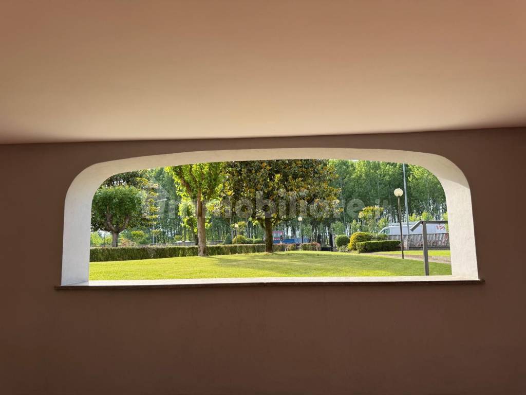 Vista