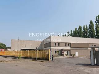 Zona