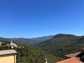 Vista
