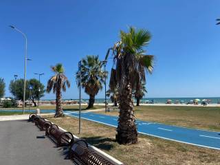 Zona