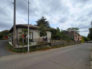 Zona