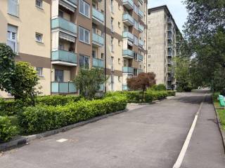 Bilocale via Cechov Antonio 37, Gallaratese, Milano