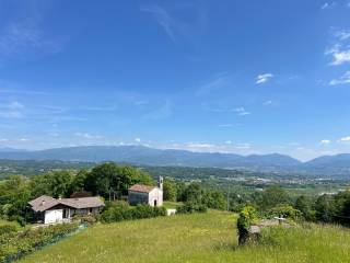 Vista