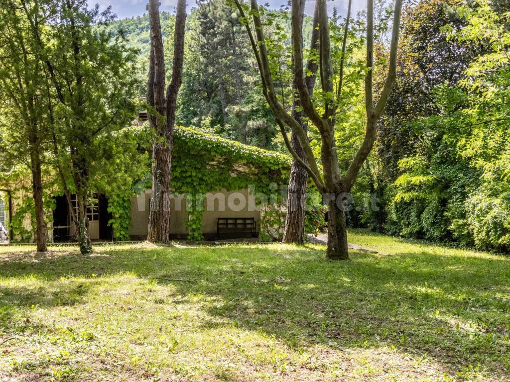Giardino